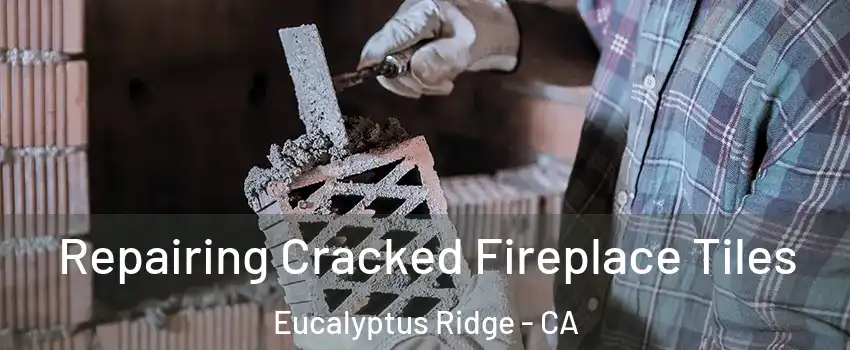 Repairing Cracked Fireplace Tiles Eucalyptus Ridge - CA