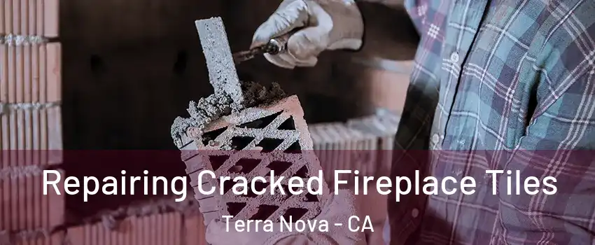 Repairing Cracked Fireplace Tiles Terra Nova - CA