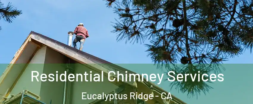 Residential Chimney Services Eucalyptus Ridge - CA