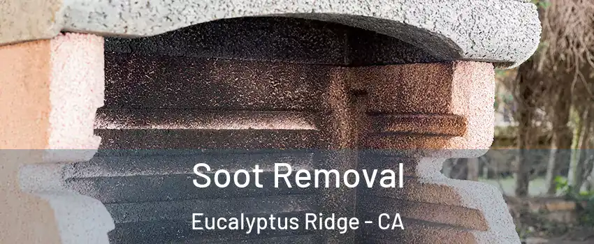 Soot Removal Eucalyptus Ridge - CA