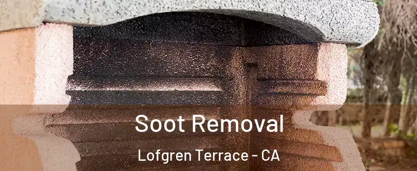 Soot Removal Lofgren Terrace - CA