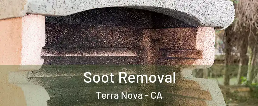 Soot Removal Terra Nova - CA