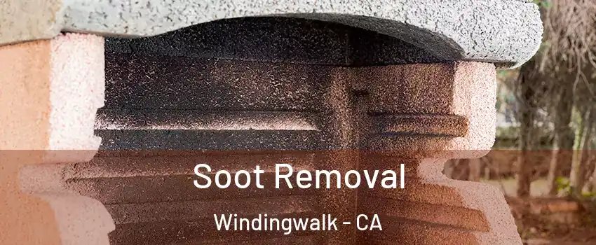 Soot Removal Windingwalk - CA