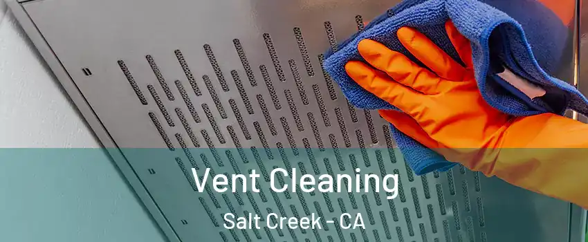 Vent Cleaning Salt Creek - CA