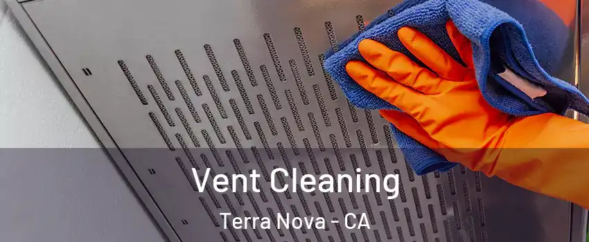 Vent Cleaning Terra Nova - CA