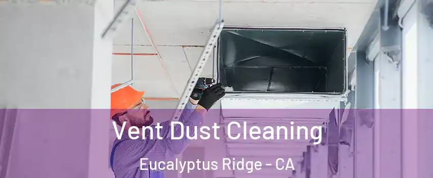 Vent Dust Cleaning Eucalyptus Ridge - CA