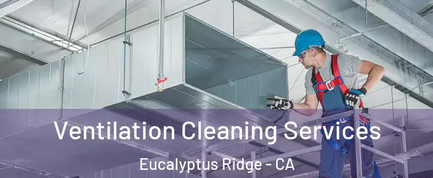 Ventilation Cleaning Services Eucalyptus Ridge - CA