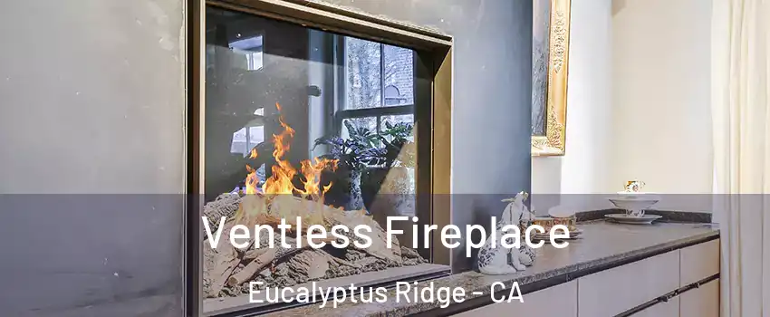 Ventless Fireplace Eucalyptus Ridge - CA
