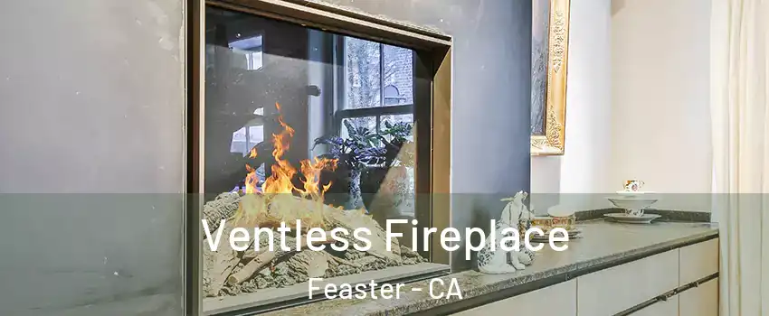 Ventless Fireplace Feaster - CA
