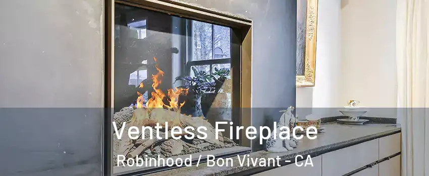Ventless Fireplace Robinhood / Bon Vivant - CA