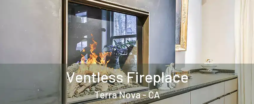 Ventless Fireplace Terra Nova - CA