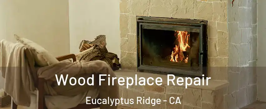 Wood Fireplace Repair Eucalyptus Ridge - CA