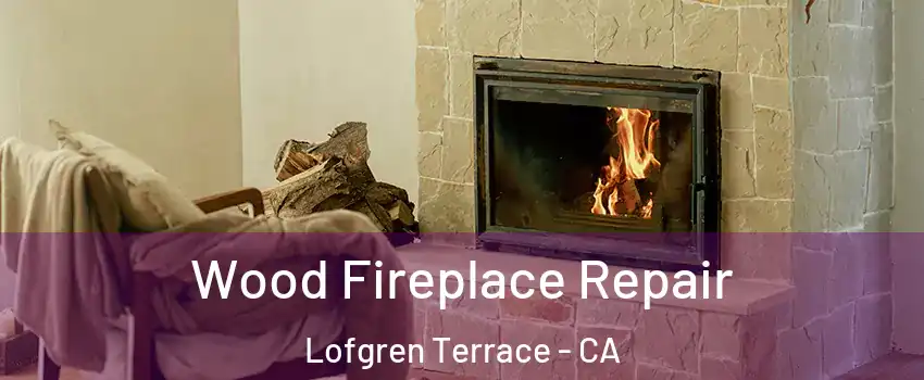 Wood Fireplace Repair Lofgren Terrace - CA