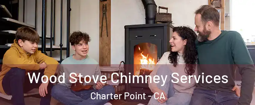Wood Stove Chimney Services Charter Point - CA