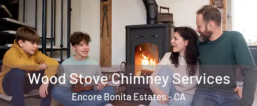 Wood Stove Chimney Services Encore Bonita Estates - CA