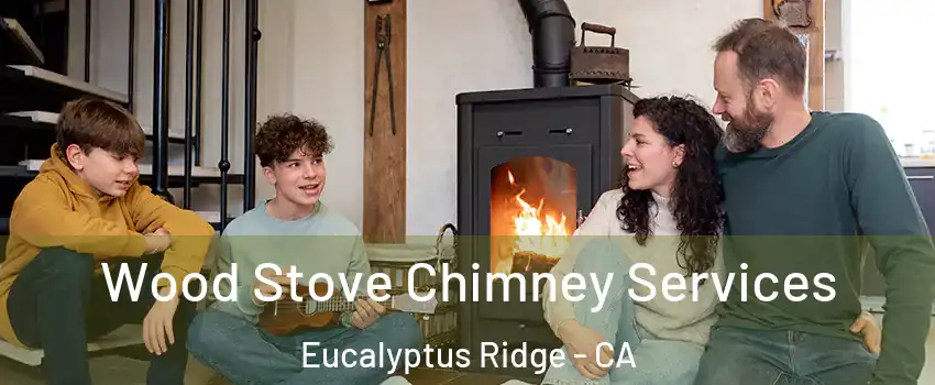 Wood Stove Chimney Services Eucalyptus Ridge - CA