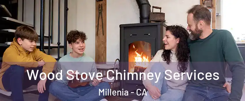 Wood Stove Chimney Services Millenia - CA