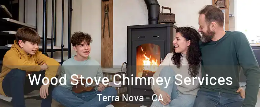 Wood Stove Chimney Services Terra Nova - CA
