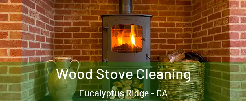 Wood Stove Cleaning Eucalyptus Ridge - CA