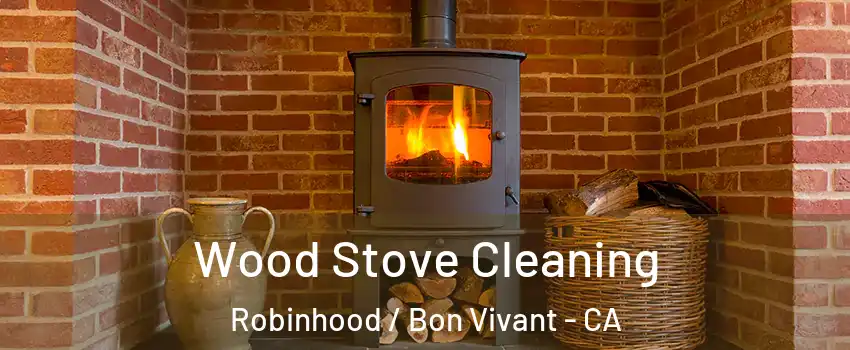 Wood Stove Cleaning Robinhood / Bon Vivant - CA