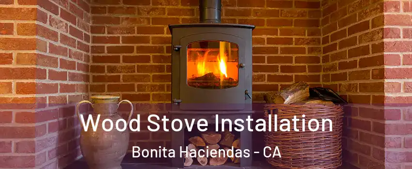 Wood Stove Installation Bonita Haciendas - CA