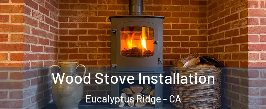Wood Stove Installation Eucalyptus Ridge - CA