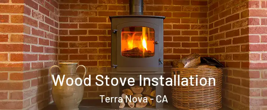 Wood Stove Installation Terra Nova - CA