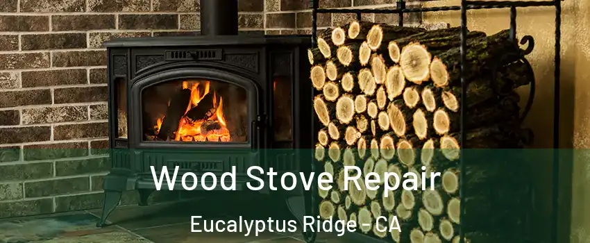 Wood Stove Repair Eucalyptus Ridge - CA