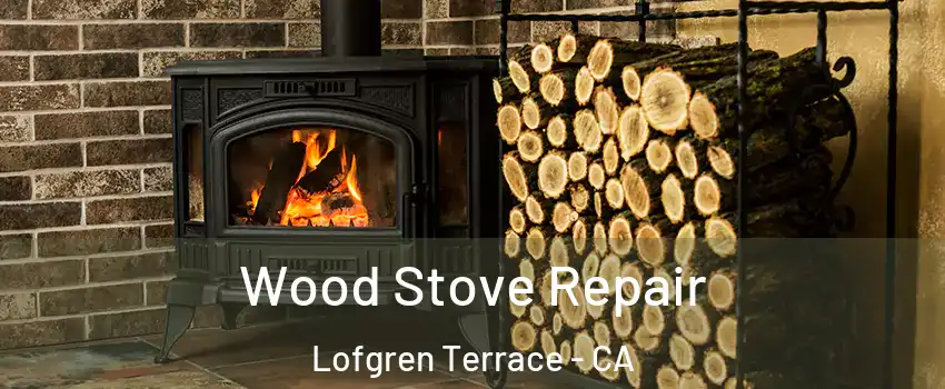 Wood Stove Repair Lofgren Terrace - CA