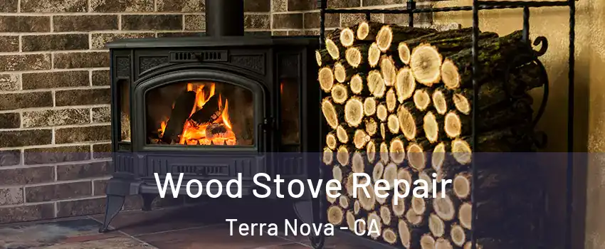 Wood Stove Repair Terra Nova - CA